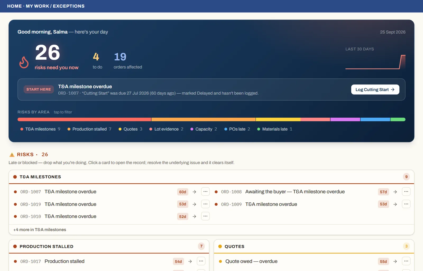 MerchandiserOS My Work screen: the day's risks grouped by area, the most urgent first